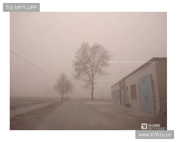 沙尘遮天蔽日笼罩吉达决赛地