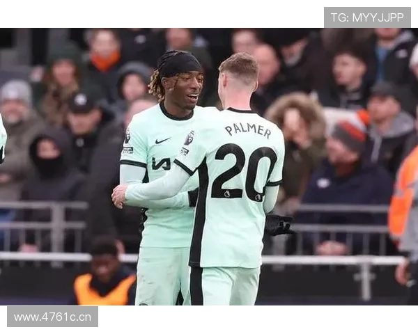 专家解读马杜埃凯之密语帕尔默